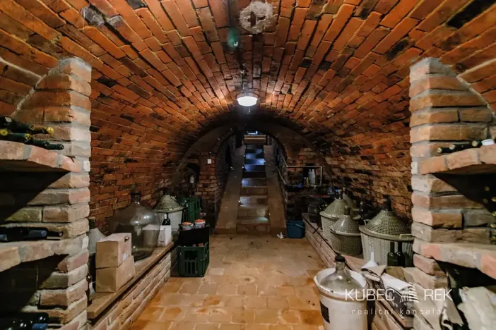 Prodej chalupy, Prušánky, Nechory, 80 m2