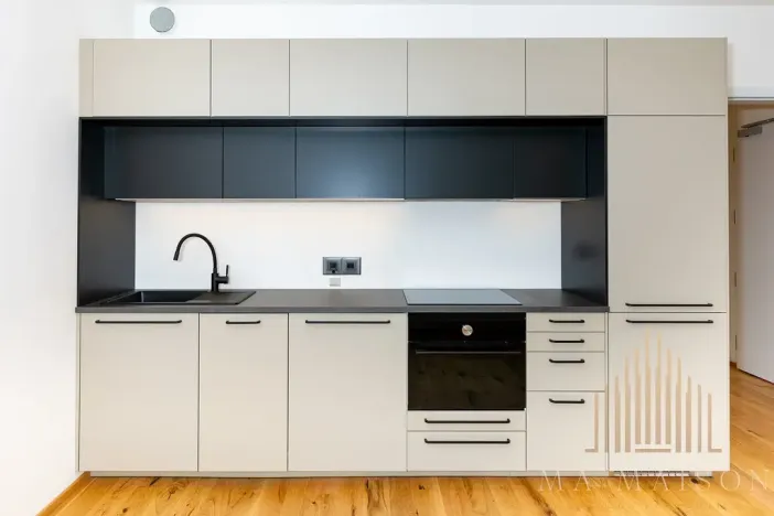 Pronájem bytu 2+kk, Praha - Nusle, Závišova, 42 m2