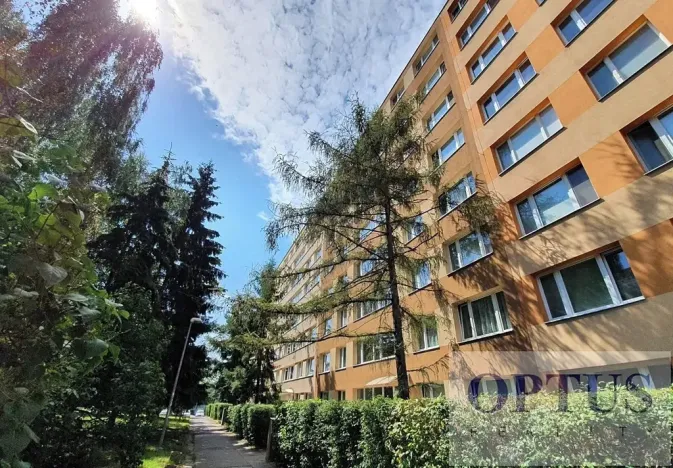 Pronájem bytu 1+kk, Praha - Podolí, Kaplická, 28 m2