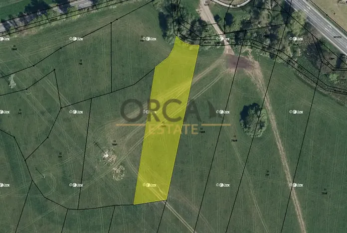 Prodej louky, Třebechovice pod Orebem, 4201 m2