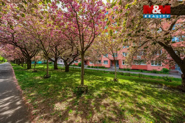 Prodej bytu 2+1, Ústí nad Labem - Severní Terasa, Pod Parkem, 62 m2