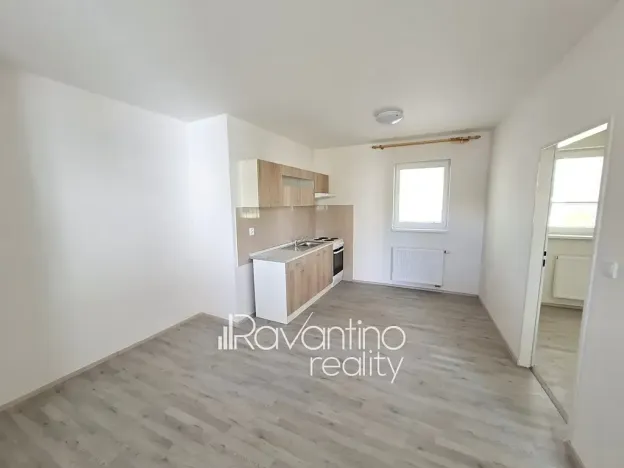 Pronájem ubytování, Brno, Cacovická, 371 m2