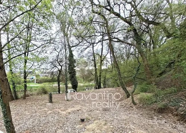 Pronájem ubytování, Brno, Cacovická, 329 m2