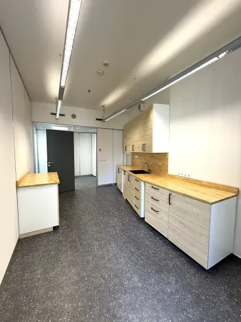 Pronájem kanceláře, Brno, Úzká, 300 m2