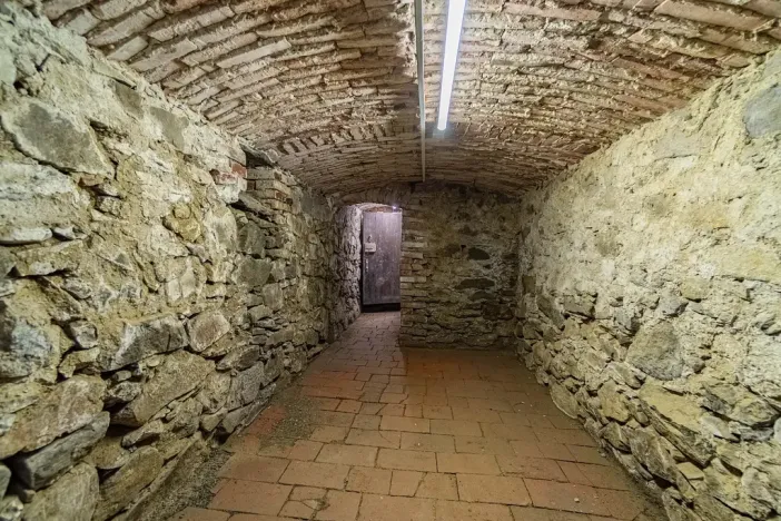 Prodej chaty, Hvožďany, 260 m2