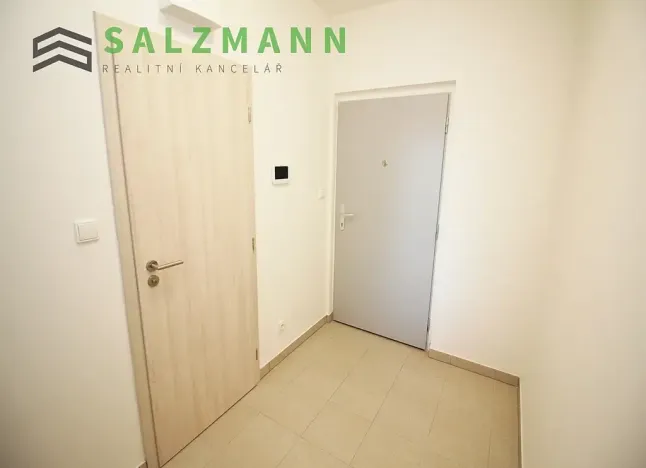 Pronájem bytu 1+kk, Plzeň, Nemocniční, 29 m2