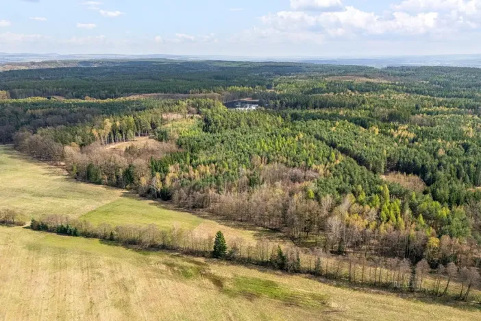 Prodej rodinného domu, Horní Jelení, Lesní, 100 m2