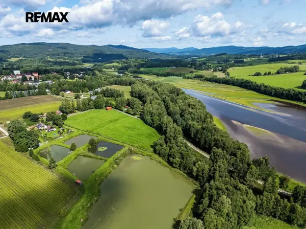 Prodej pozemku, Nová Pec, 9752 m2