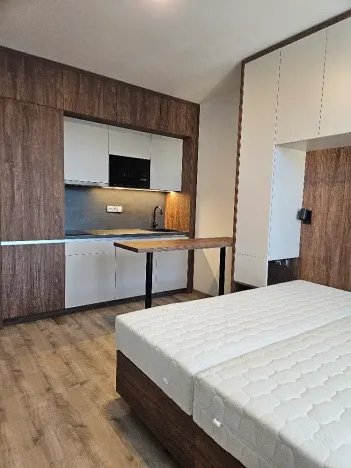 Pronájem pokoje, Praha - Michle, Na úlehli, 48 m2