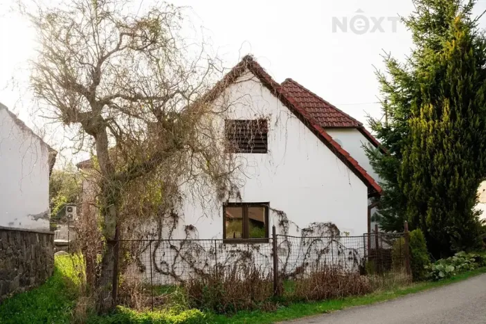 Prodej rodinného domu, Podmokly, 98 m2