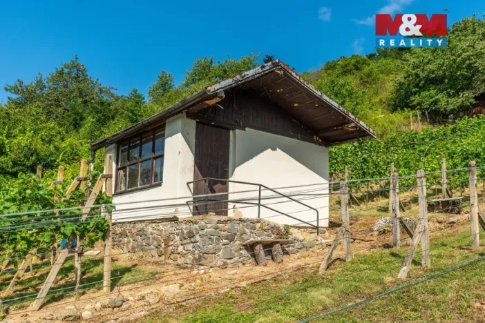 Prodej pozemku pro bydlení, Viničné Šumice, 2331 m2
