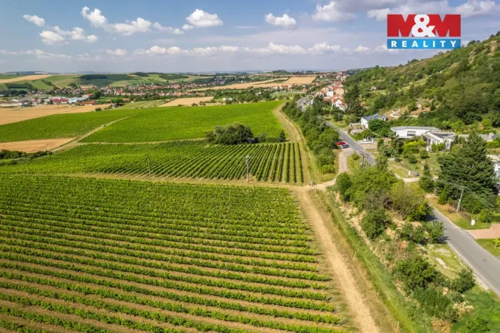 Prodej pozemku pro bydlení, Viničné Šumice, 2331 m2