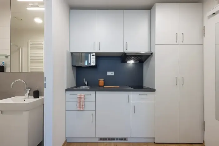 Pronájem pokoje, Praha - Holešovice, Na zátorách, 31 m2