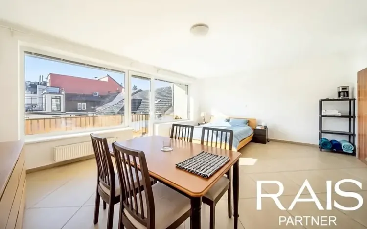 Prodej bytu 1+kk, Brno, Hálkova, 55 m2