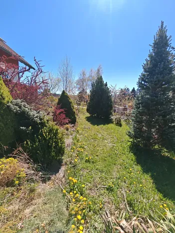 Prodej rodinného domu, Stachy, 250 m2