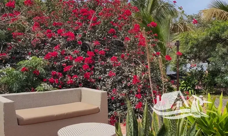 Prodej atypického bytu, Santa Maria, Kapverdy, 40 m2