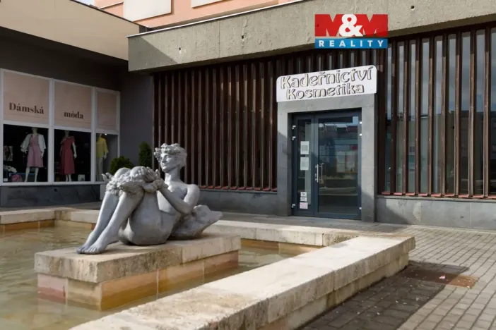 Prodej obchodního prostoru, Chomutov, Palackého, 159 m2