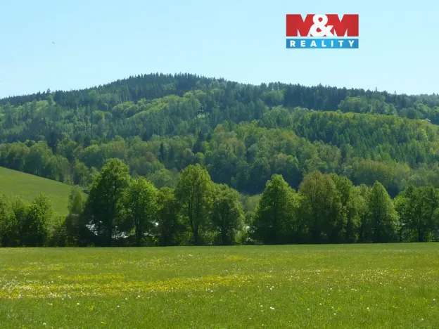 Prodej louky, Náchod - Běloves, 20495 m2