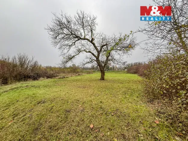 Prodej pole, Třebenice, 468 m2