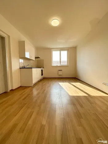 Prodej bytu 1+kk, Mšené-lázně, Mládežnická, 38 m2