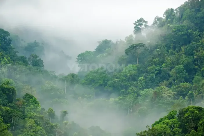 Prodej rodinného domu, Puerto Carrillo, Kostarika, 210 m2
