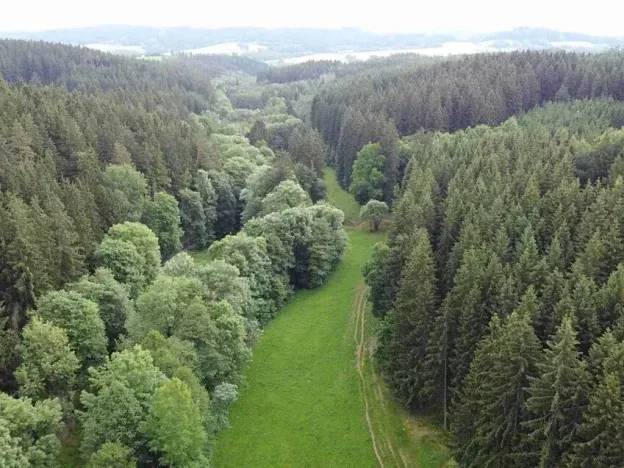 Dražba louky, Čermná, 2083 m2