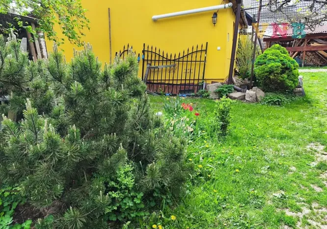 Pronájem bytu 2+1, Mohelnice, Horní Krčmy, 70 m2
