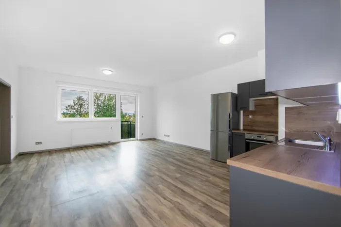 Pronájem bytu 2+kk, Plzeň - Severní Předměstí, Bolevecká, 58 m2