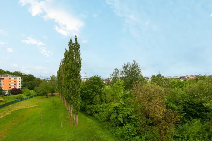 Pronájem bytu 2+kk, Plzeň - Severní Předměstí, Bolevecká, 58 m2