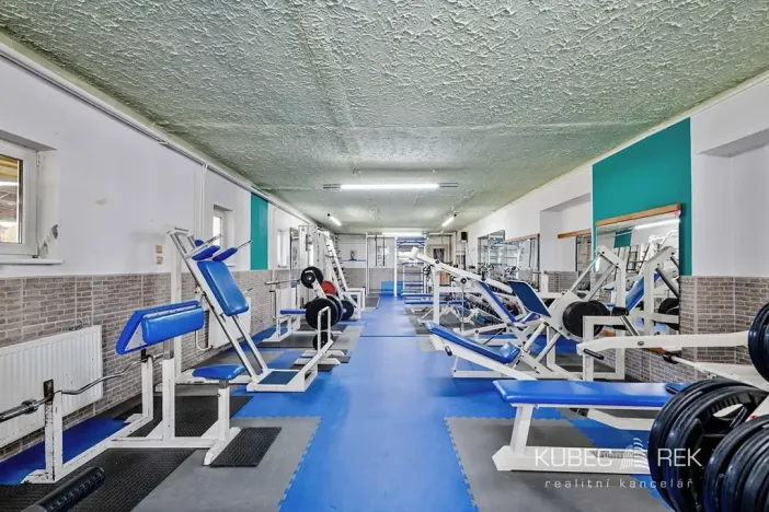Prodej komerční nemovitosti, Soběslav, 514 m2