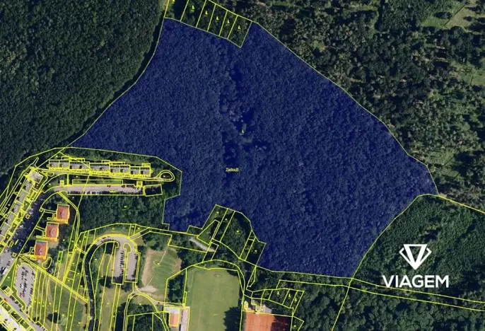 Prodej podílu lesa, Brno, 6591 m2