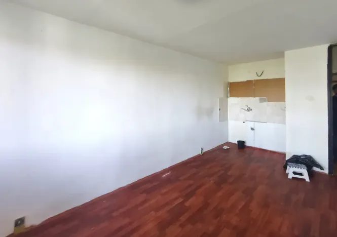 Prodej bytu 1+kk, Ostrava - Moravská Ostrava, U Parku, 31 m2