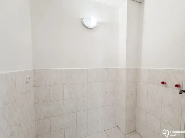 Pronájem komerční nemovitosti, Olomouc, Ostružnická, 84 m2