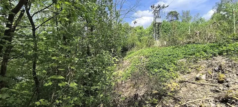 Prodej pozemku pro bydlení, Cheb, Na Mlýnku, 728 m2