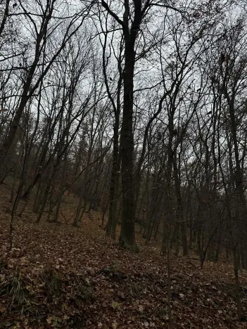 Prodej podílu lesa, Praha, 4596 m2