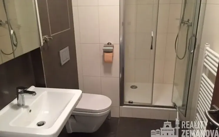Pronájem bytu 1+kk, Praha - Michle, Hanusova, 37 m2