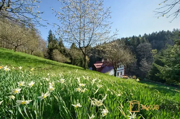 Prodej chaty, Vrchlabí, Kněžice, 152 m2
