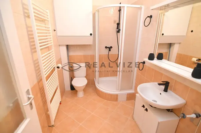 Pronájem bytu 2+kk, České Budějovice, K. V. Raise, 44 m2
