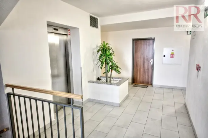 Pronájem bytu 1+kk, Plzeň, U Borských kasáren, 40 m2