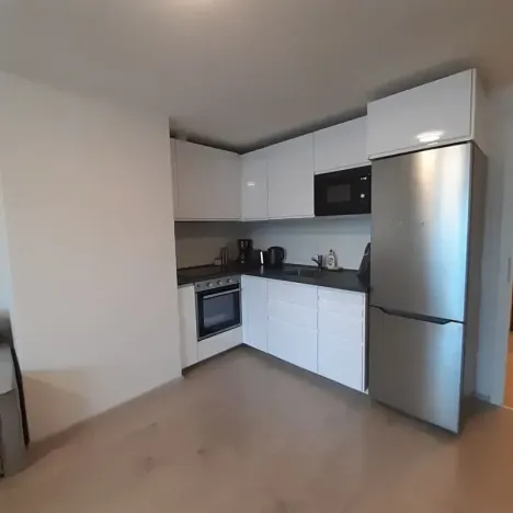 Pronájem bytu 1+kk, Praha - Žižkov, Hartigova, 37 m2