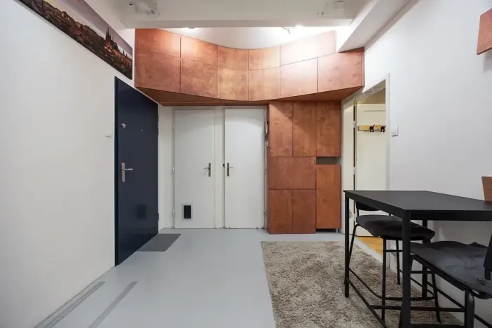 Pronájem bytu 1+1, Praha - Žižkov, Baranova, 49 m2