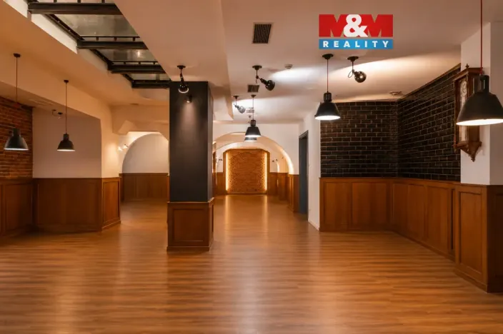 Prodej obchodního prostoru, Olomouc, Riegrova, 890 m2