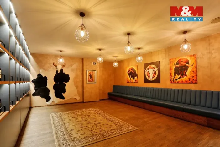 Prodej obchodního prostoru, Olomouc, Riegrova, 890 m2