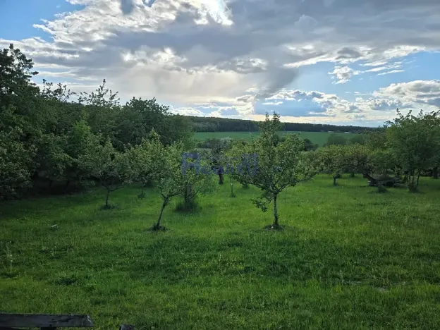 Pronájem zahrady, Dobřenice, 3673 m2