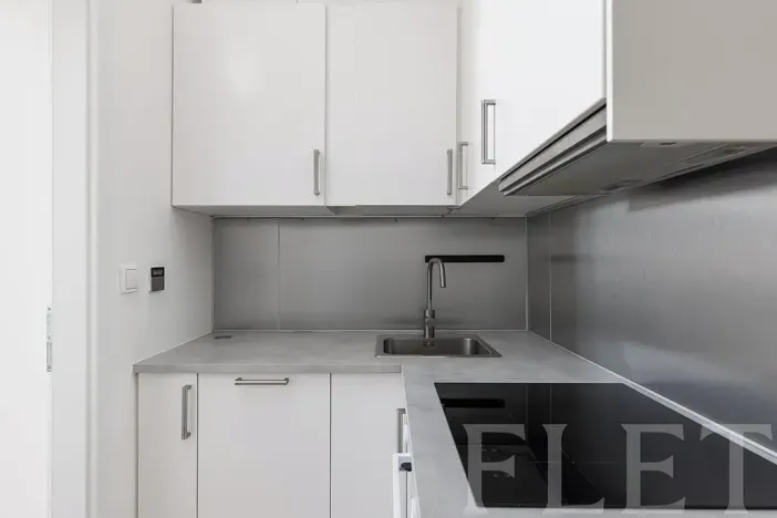 Pronájem bytu 1+kk, Praha - Žižkov, Milíčova, 29 m2