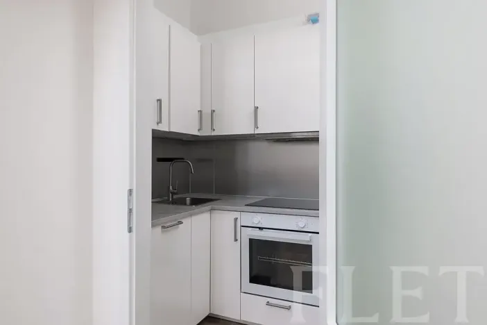 Pronájem bytu 1+kk, Praha - Žižkov, Milíčova, 29 m2
