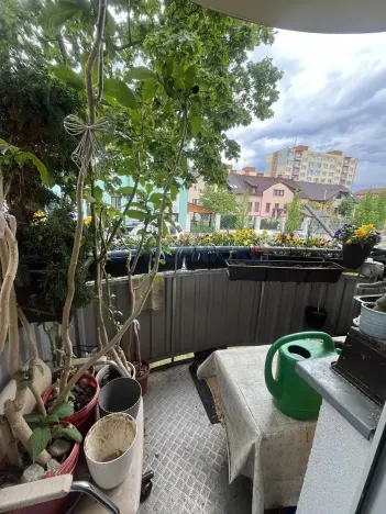 Prodej bytu 2+1, České Budějovice, Nerudova, 74 m2