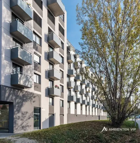Pronájem bytu 1+kk, Brno, Reissigova, 36 m2