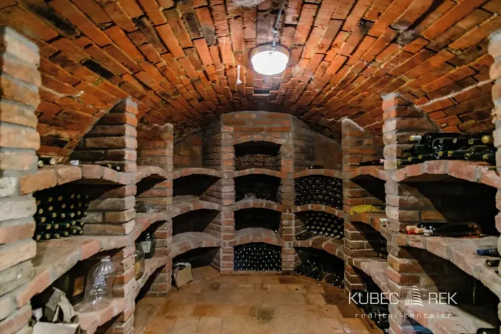 Prodej vinného sklepa, Prušánky, Nechory, 80 m2