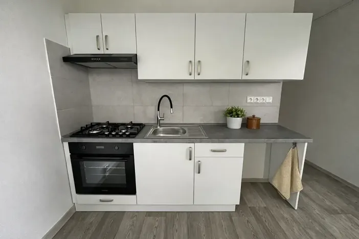 Pronájem bytu 1+1, Litvínov, Čapkova, 38 m2
